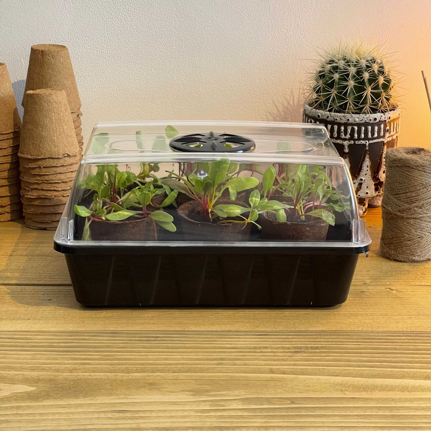 Propagator 25cm-1