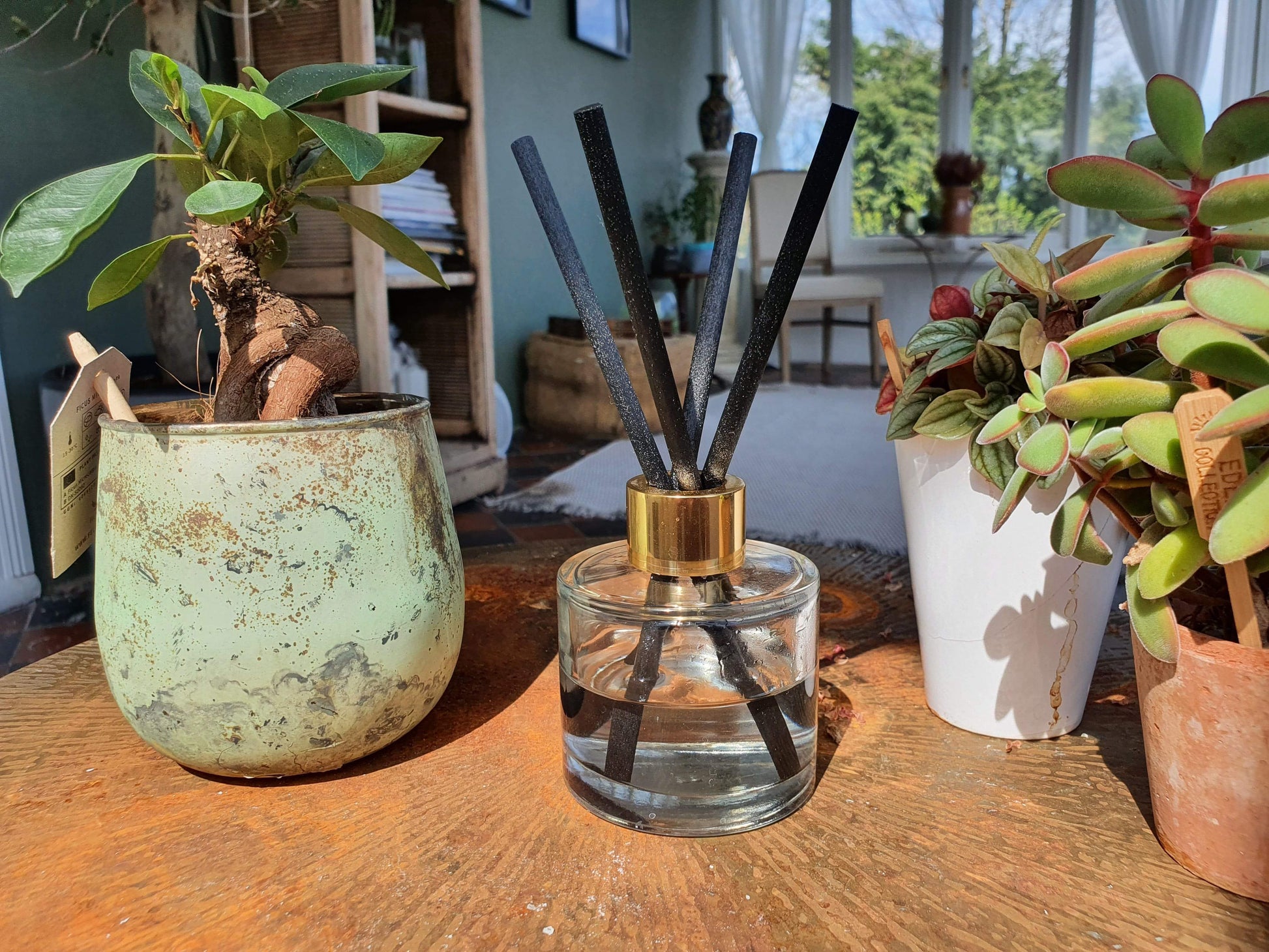 Fragrance Oil Reed Diffuser-3